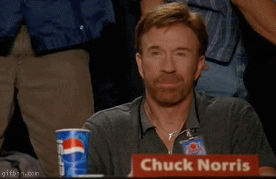 http://i84.photobucket.com/albums/k10/paladin_04/1237811519_chuck-norris-approves.gif