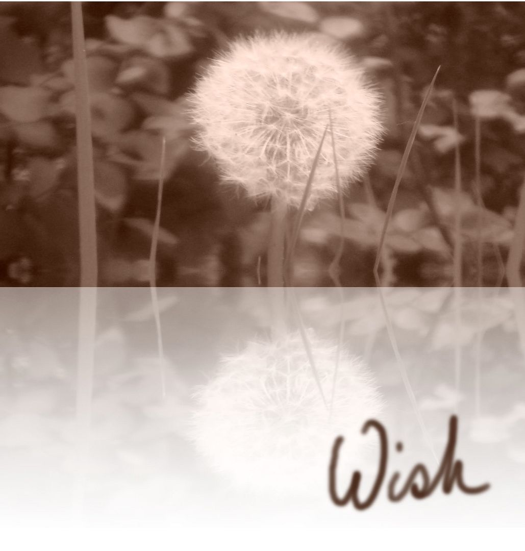 wish photo: wish wish.jpg