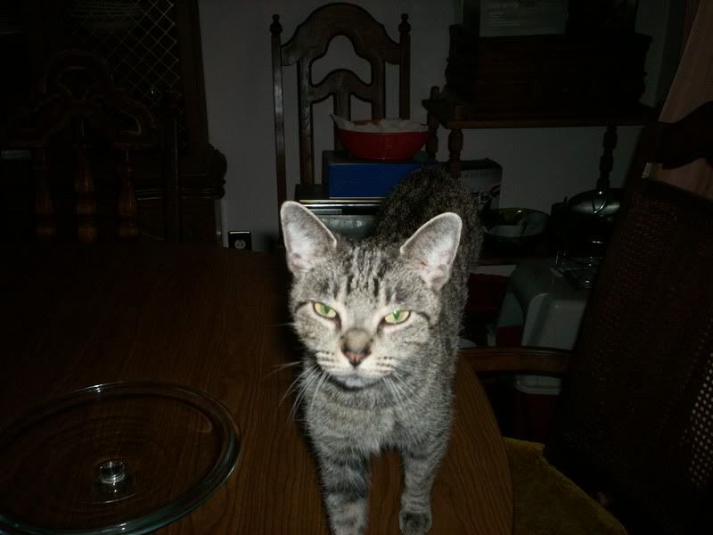 Photobucket - Video and Image Hosting