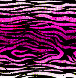 pink zebra background