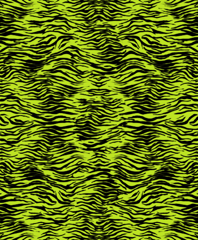 Black And Lime Green Backgrounds. Lime Green Zebra