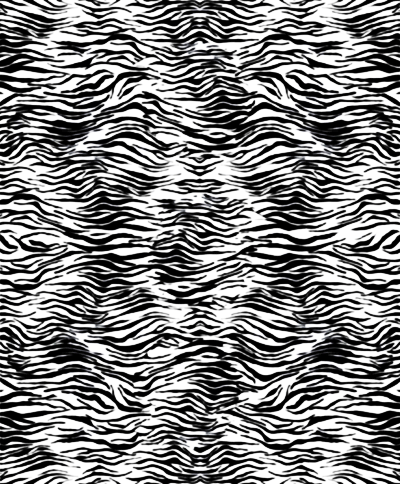 black and white zebra print background. Zebra Print