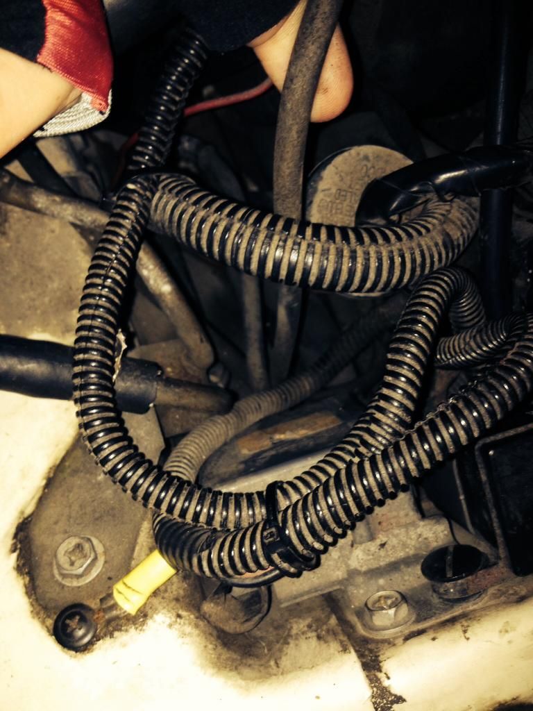  photo image_zps130ee864.jpg