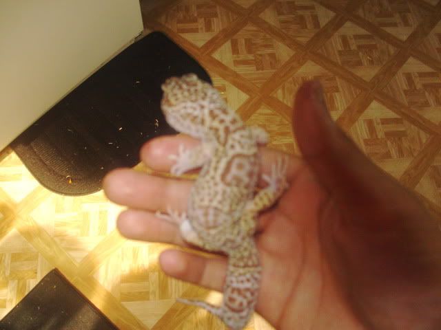 PICT0073.jpg