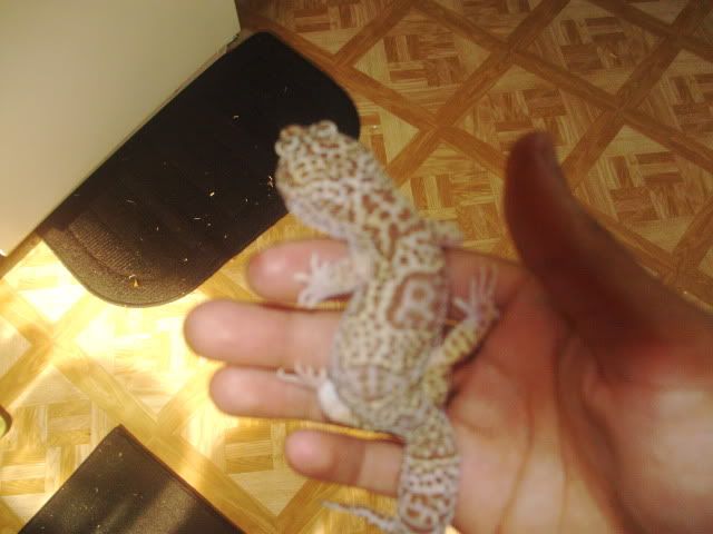 PICT0074.jpg