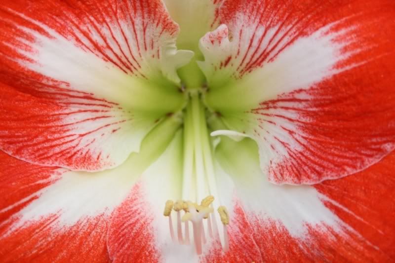 IMAGE: http://i84.photobucket.com/albums/k19/jerryshowphoto/IMG_8070.jpg