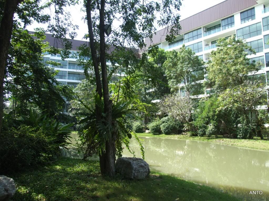 DSCF1136.jpg