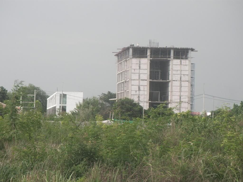 SANY0001-2.jpg