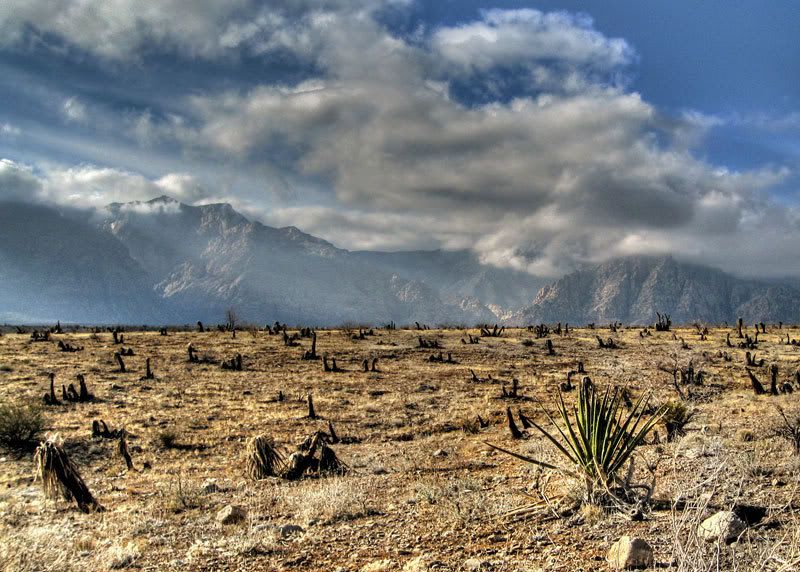 IMAGE: http://i84.photobucket.com/albums/k21/DonJuanMair/Green.jpg