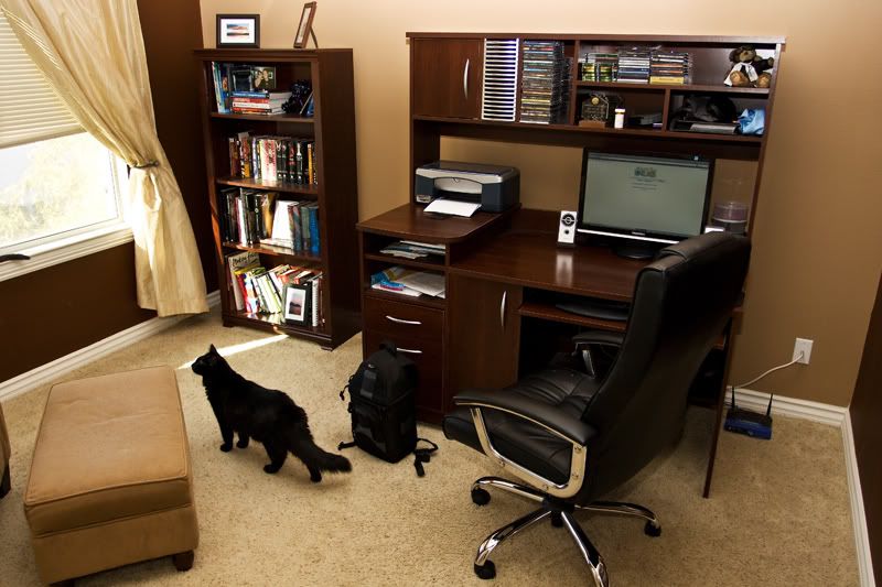 IMAGE: http://i84.photobucket.com/albums/k21/DonJuanMair/office.jpg