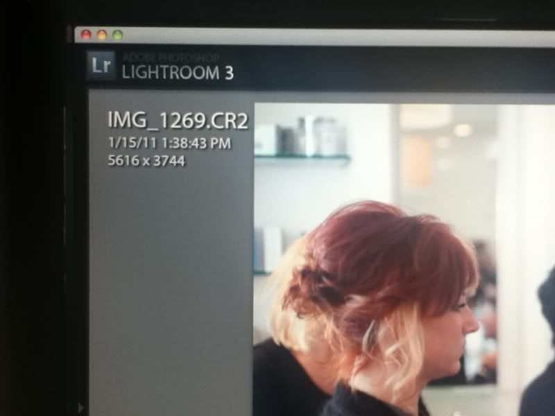 IMAGE: http://i84.photobucket.com/albums/k21/Jazzhoodlum/c1de9e11.jpg