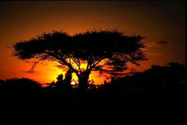 Sunset Kenia