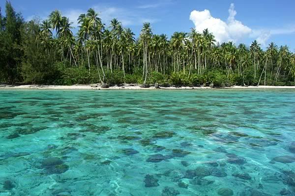 Moorea Fiji Island