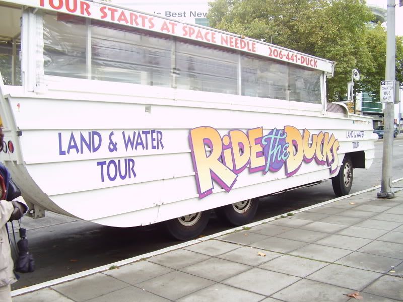 Duck tour Pictures, Images and Photos