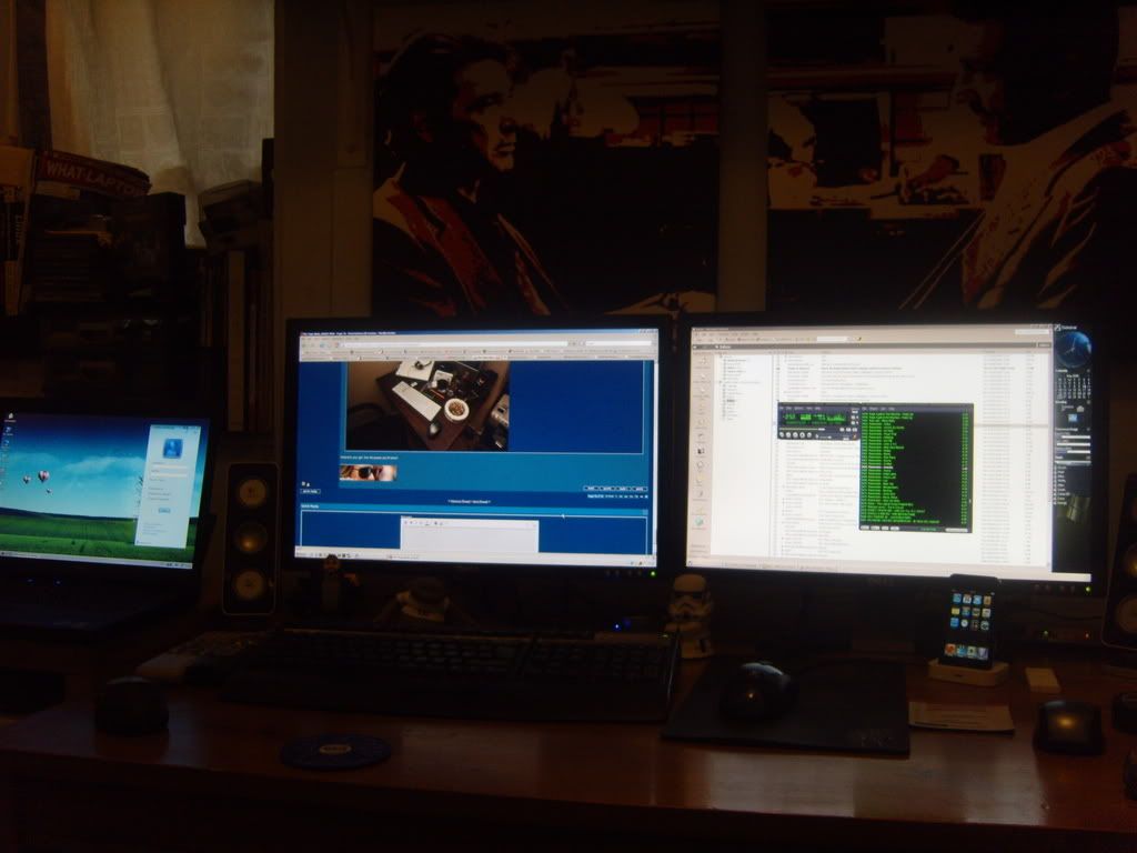 S1031013.jpg