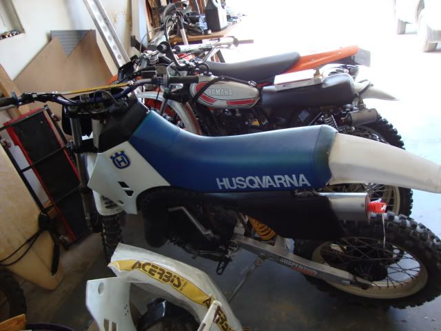 DSC00717.jpg