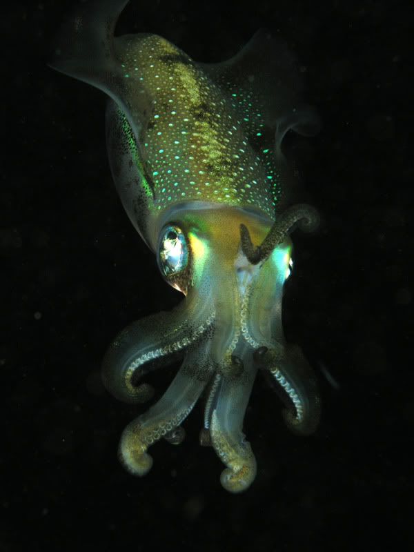 underwater
