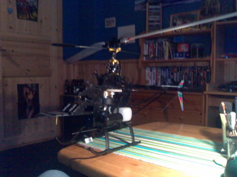 08112007519.jpg