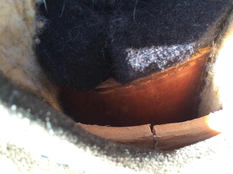 My saddle tree is CRACKED? What... The Horse Forum
