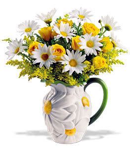 Telefloras-Darling-Daisy-Bouquet.jpg