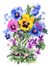 bouquet-3.gif