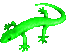 gecko-clipart-picture14.gif