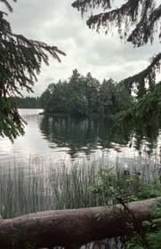1032.jpg