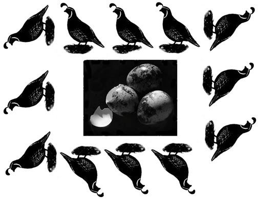 B/W Quail Border/Eggs