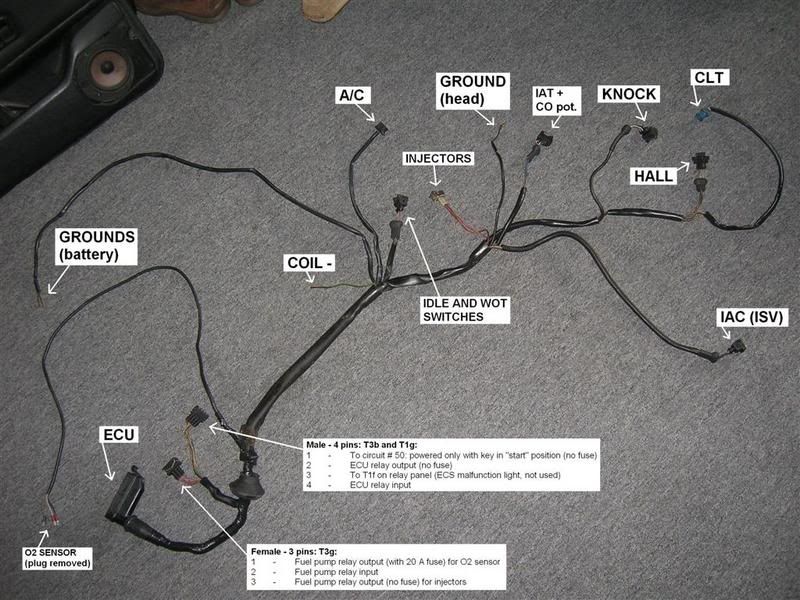 VWVortex.com - WTB: 2.0 16v 9A engine wiring harness h22a4 wiring harness diagram 