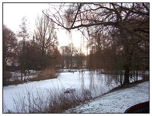 weiher-winter09.jpg