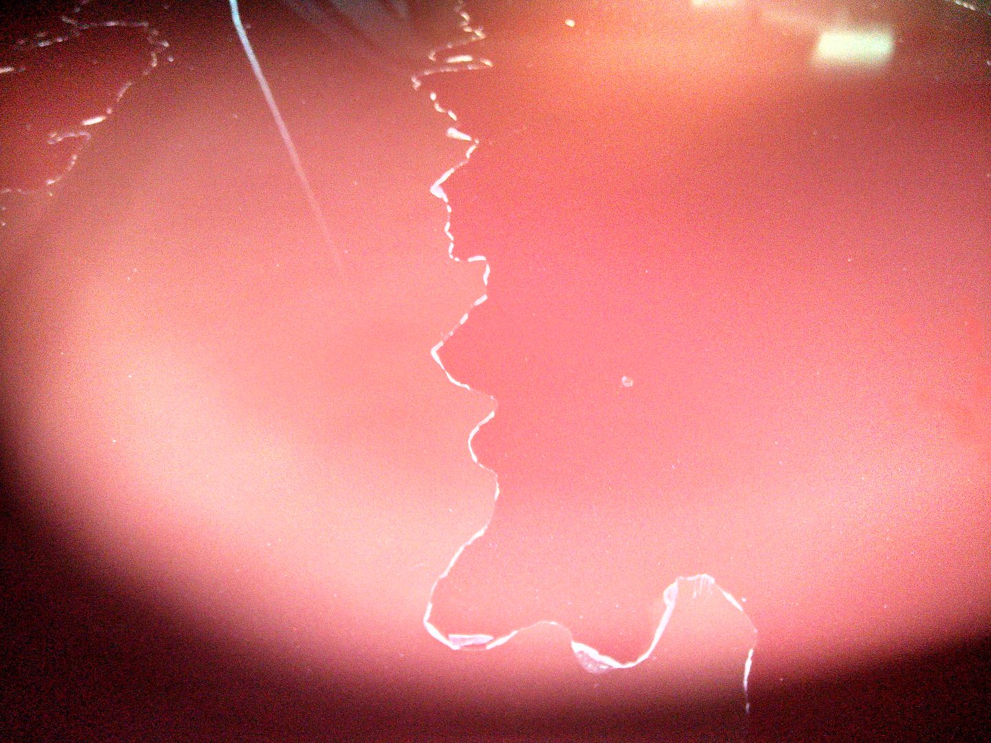 IMG_20130305_195952_227.jpg
