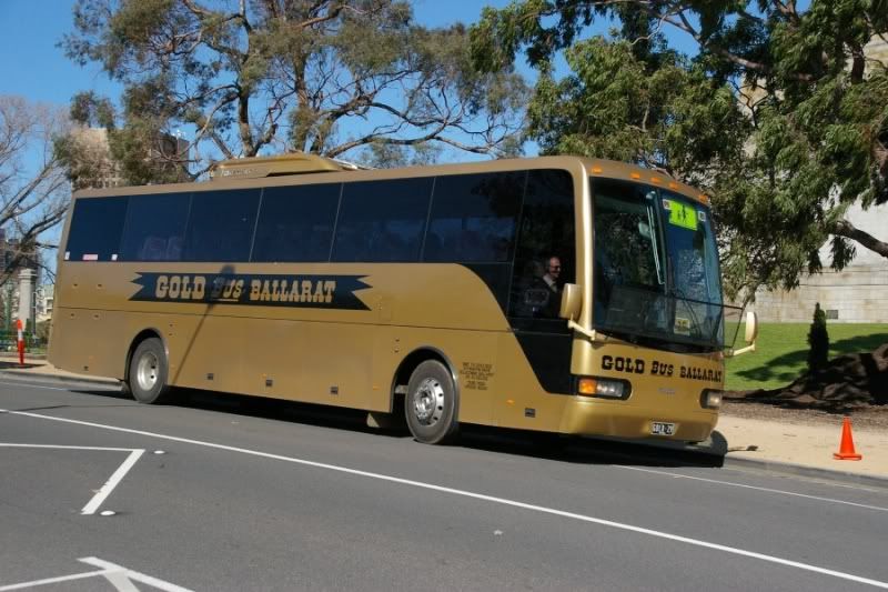 gold bus