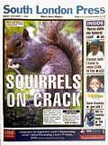 squirrel.jpg image by Concentrationface