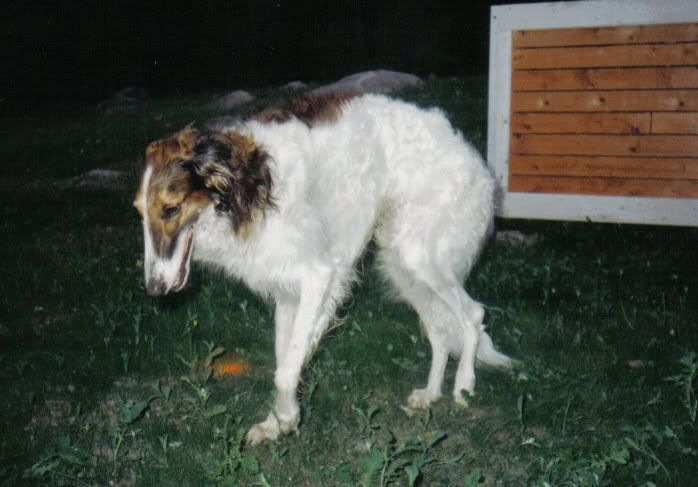 Kuva