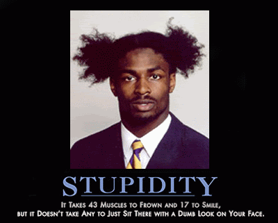 Stupidity.gif