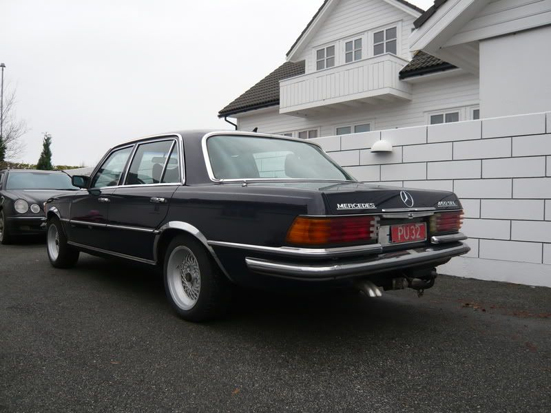 P1000100.jpg?t=1207546010