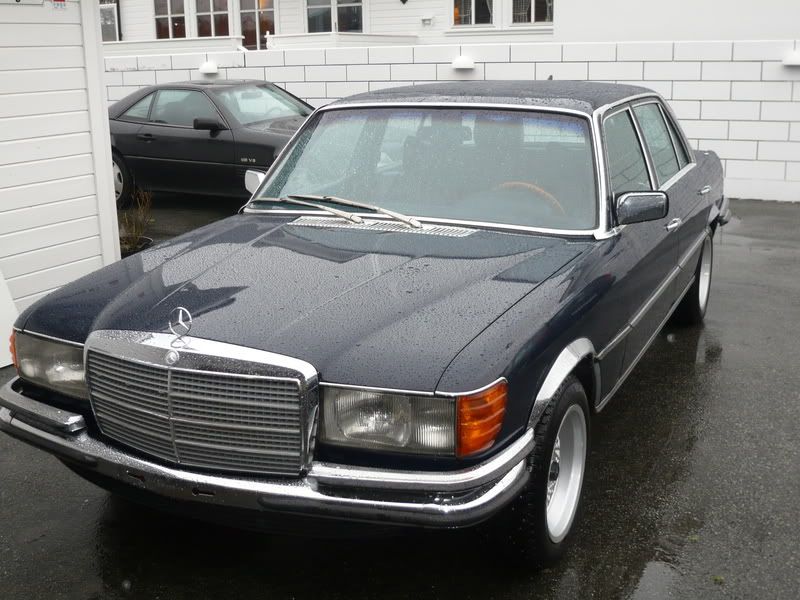 P1000318.jpg?t=1208075471