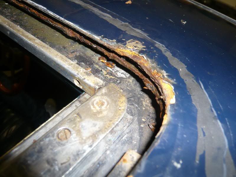 P1000792.jpg?t=1210543737