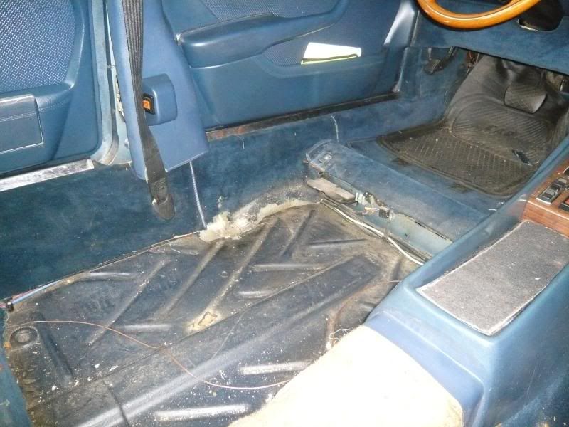 P1010039.jpg?t=1211105073