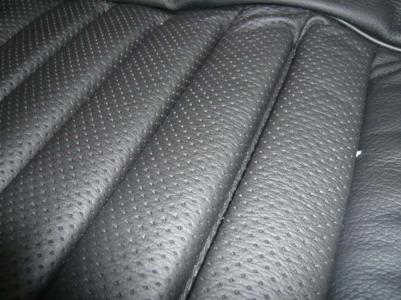 P1020368.jpg?t=1213822306