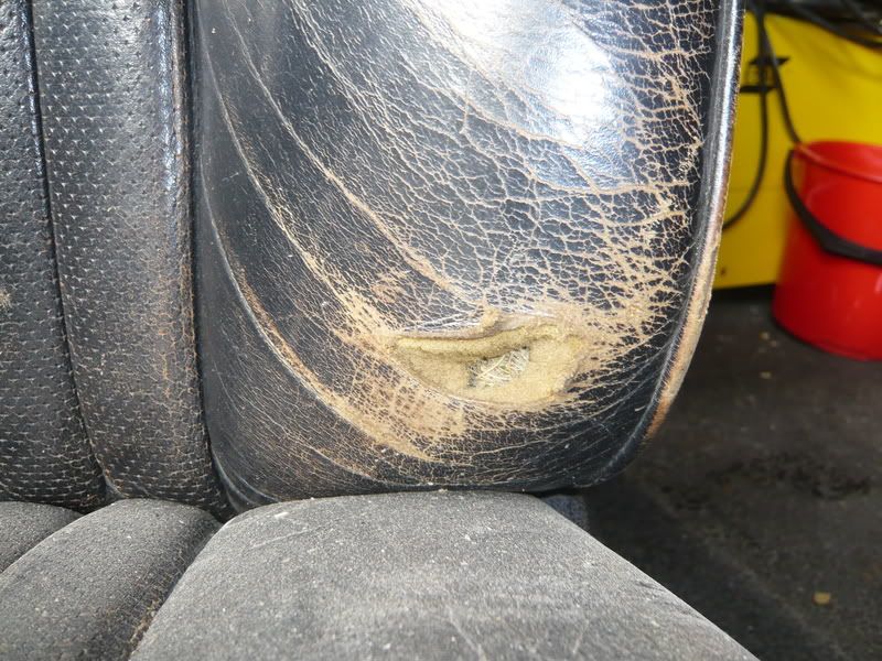 P1020372.jpg?t=1213821779