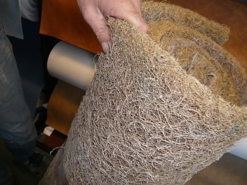 P1020373.jpg?t=1214330079