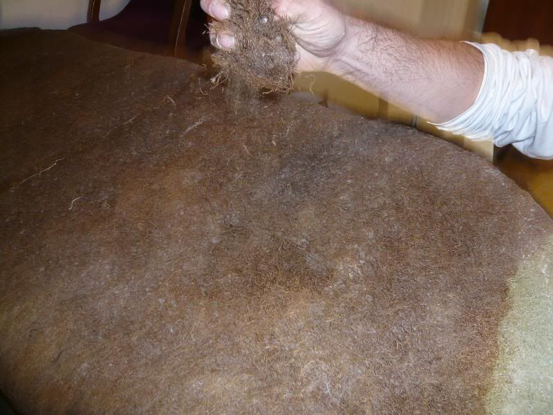 P1020374.jpg?t=1214330211