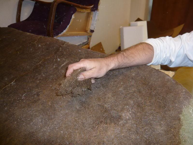 P1020375.jpg?t=1214330166