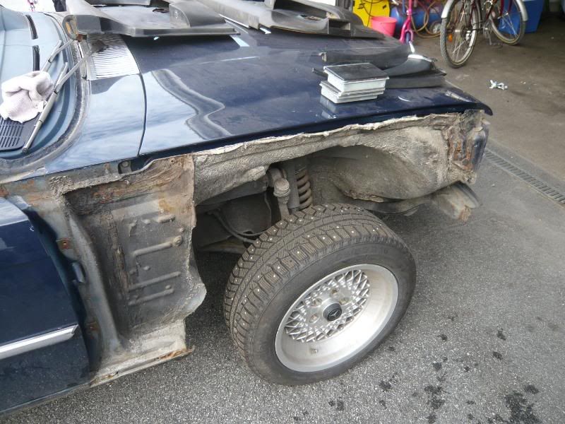 P1020506.jpg?t=1216332832