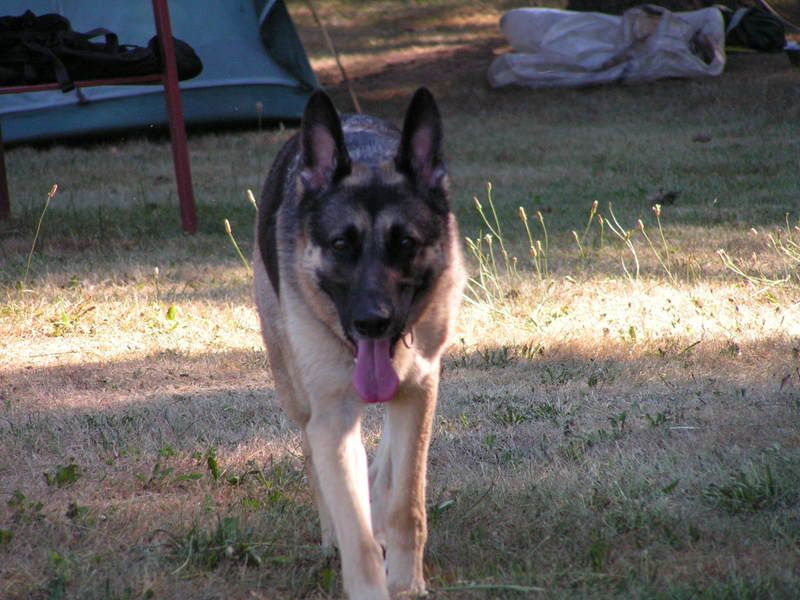 PICT0040.jpg