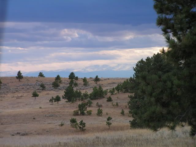 montana2010007.jpg