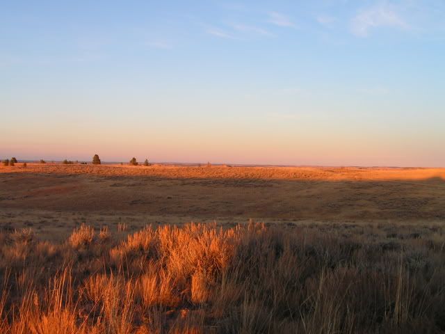 montana2010009.jpg