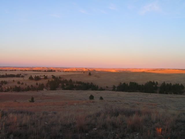 montana2010010.jpg