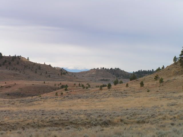 montana2011002.jpg